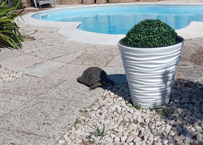 Con Piscina Privata! 3* Rena Majore