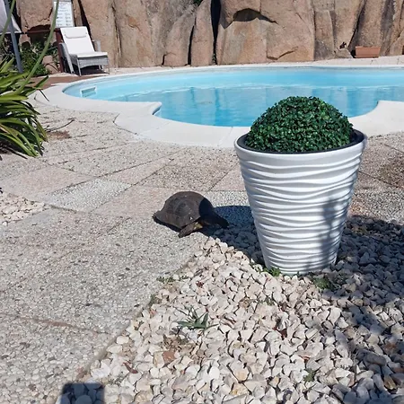 Con Piscina Privata! * Rena Majore